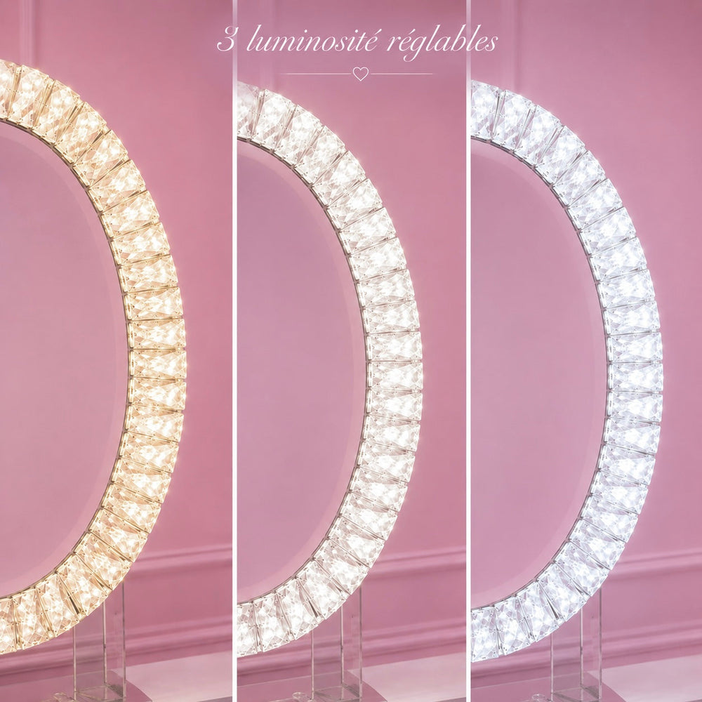 Miroir Ovale LED à Cristaux 70 x 50 cm – À Poser ou Mural